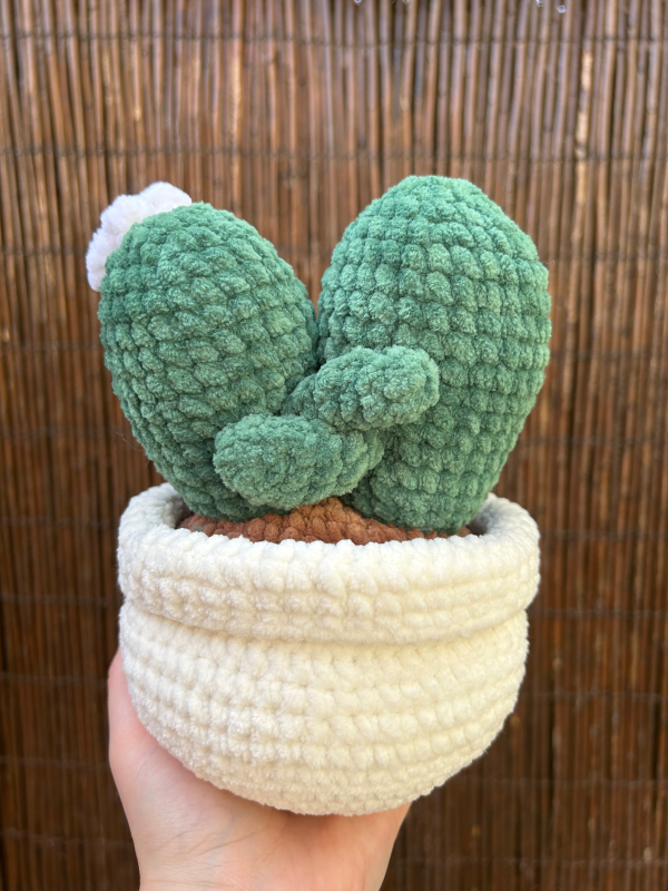 Copie de Patron crochet Patron crochet PDF - Piko et Pikette, les cactus amoureux