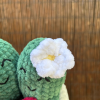 Copie de Patron crochet-2 Patron crochet PDF - Piko et Pikette, les cactus amoureux