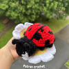Patron crochet-2 Patron au crochet PDF - Annabelle, la coccinelle