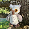 Patron crochet-3 Patron au crochet PDF - Arlette, la chouette