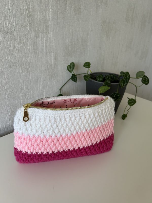 IMG_1951 Pochette Pégase n°2 - Collection Espoir