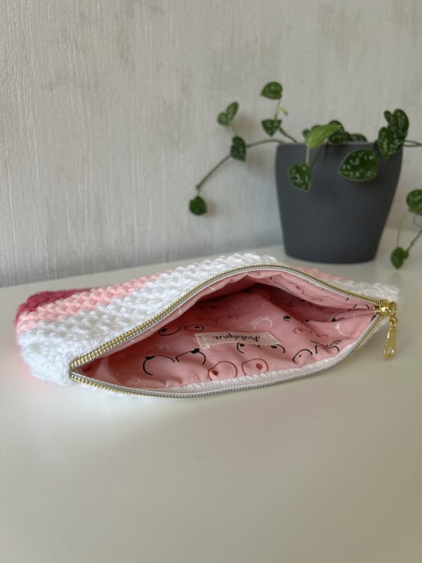 IMG_1958 Pochette Pégase n°2 - Collection Espoir