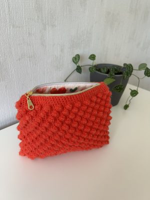 IMG_1975 Pochette Véga - Collection Espoir