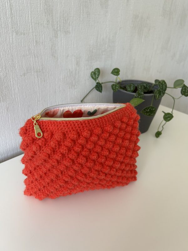 IMG_1975 Pochette Véga - Collection Espoir
